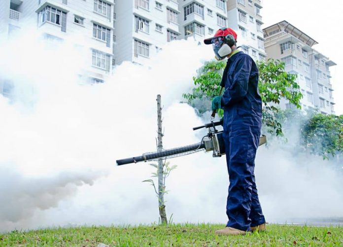 Pest control companies in Singapore