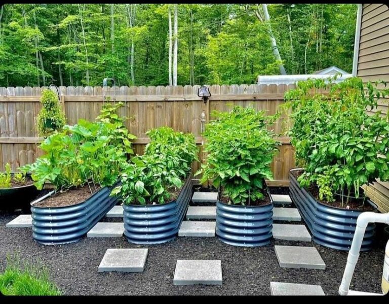 What Is A Snake Fence?