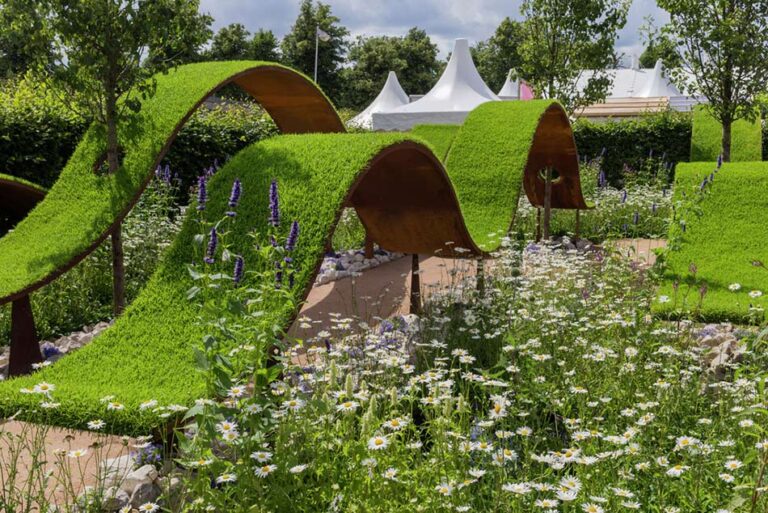 Hampton Court Flower Show 2025: Unveiling the Best in Garden Design Hampton Court Flower Show 2025: Unveiling the Best in Garden Design