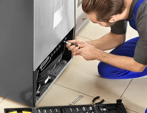 Essential Insights into Modern Appliance Repair Needs